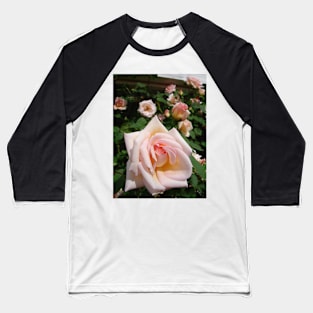 Rose Flower Blush Pink Vintage Baseball T-Shirt